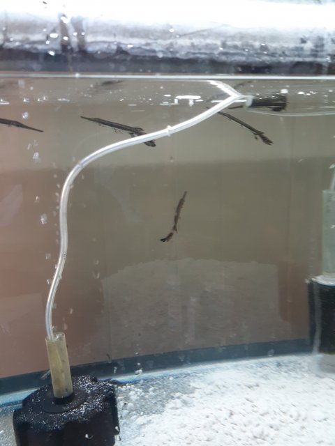 20220317_120239.jpg