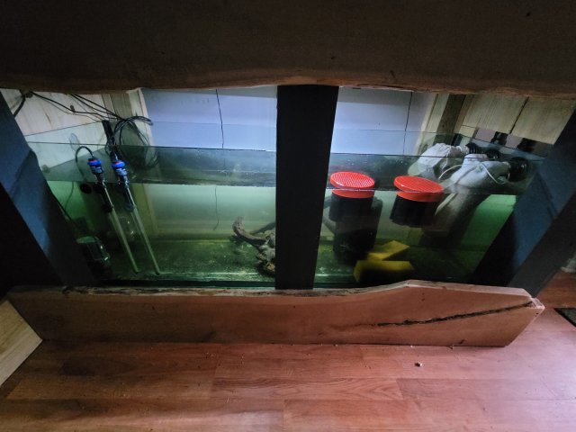 20220317_145145.jpg