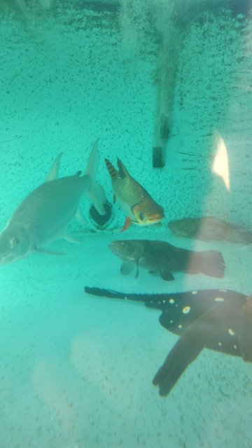 IMG_20220225_083149157.jpg
