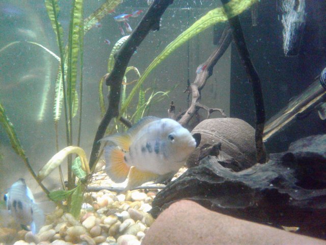 20180830_173755.jpg