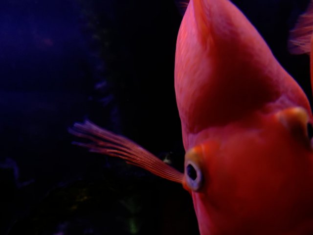 91C9F104-F73C-4844-84DF-B60584971D64.jpeg
