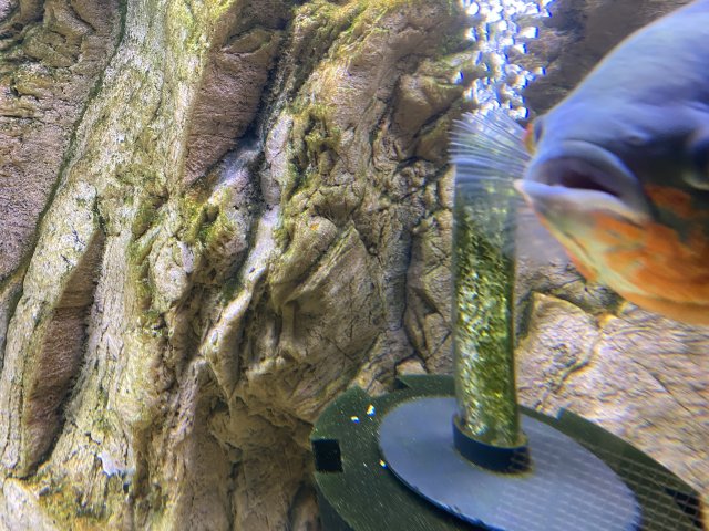 5D942DDC-8BB0-4985-BAF3-A868EB7283DC.jpeg 5D942DDC-8BB0-4985-BAF3-A868EB7283DC.jpeg