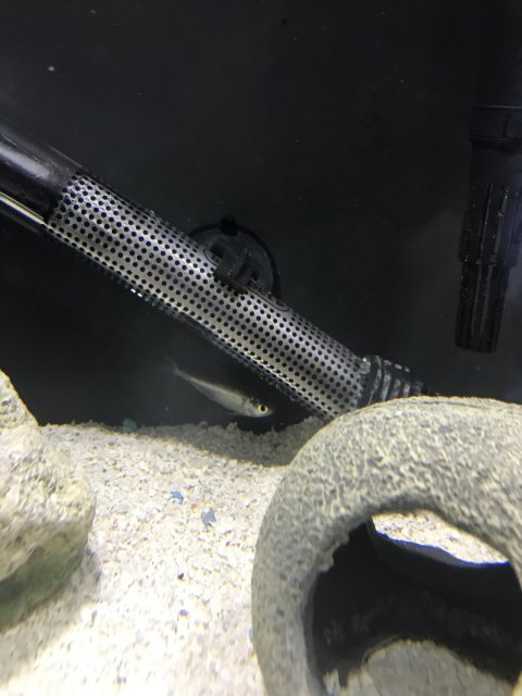 C95FCF14-F1CE-4ED2-B9FB-7F56773FA5E7.jpeg