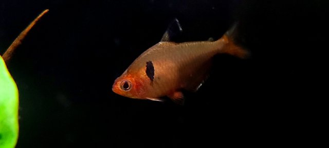 20220116_162116.jpg