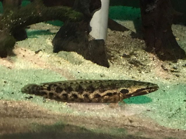 WhatsApp Image 2022-03-29 at 4.24.41 PM.jpeg