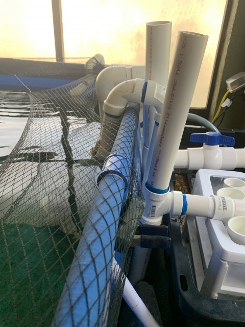 699D25C7-EE40-4170-9DD2-F7C2CC66E173.jpeg 699D25C7-EE40-4170-9DD2-F7C2CC66E173.jpeg