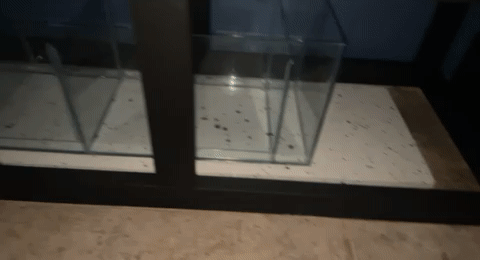 sumps.gif sumps.gif