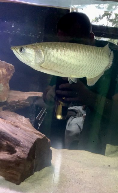 0CA55635-9C2A-4A81-9A30-B637E67F702F.jpeg 0CA55635-9C2A-4A81-9A30-B637E67F702F.jpeg