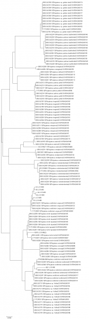 Neihbor joining.PNG Neihbor joining.PNG