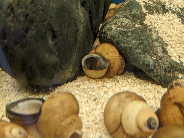 PXL_20220413_025455584.jpg