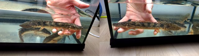 KakaoTalk_20210115_001848033_01.jpg KakaoTalk_20210115_001848033_01.jpg