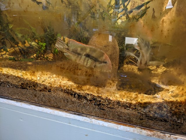 PXL_20220417_181511659.jpg