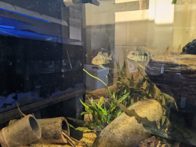 PXL_20220417_181517930.jpg