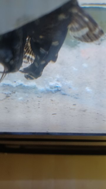 20220421_105933.jpg
