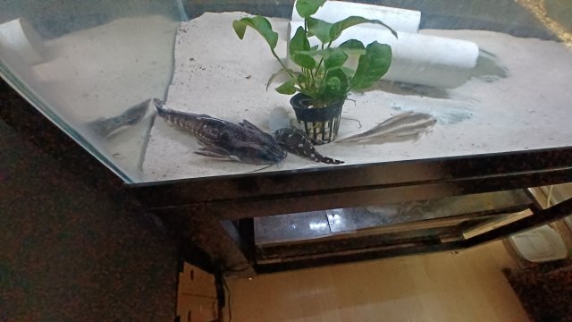 20220421_110202.jpg