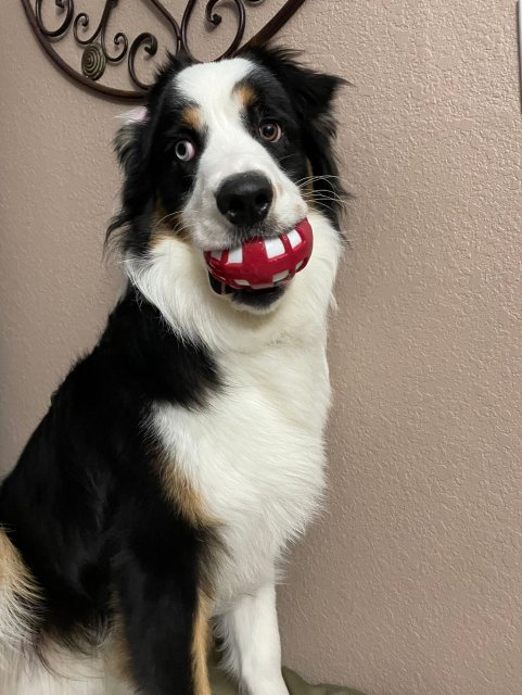 BUBBA J.jpg BUBBA J.jpg