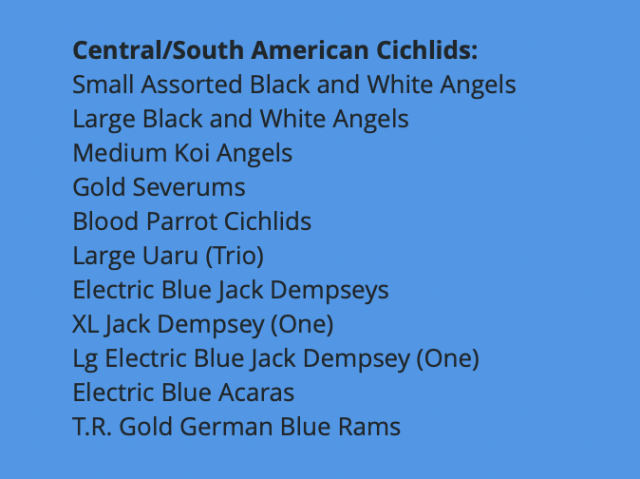 Screen Shot 2022-04-26 at 5.12.51 PM.png Screen Shot 2022-04-26 at 5.12.51 PM.png