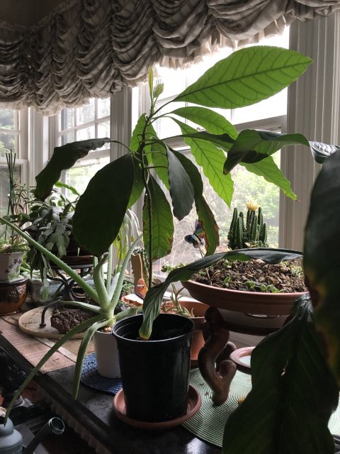 IMG_0674.jpg IMG_0674.jpg