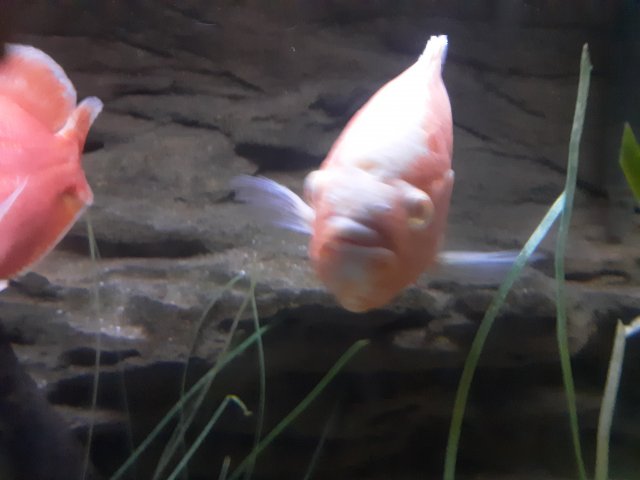 20220501_135604.jpg