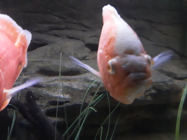 20220501_135607.jpg