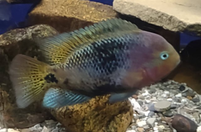 20220501234012.jpg 20220501234012.jpg