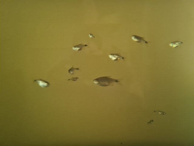 20220504_095254.jpg