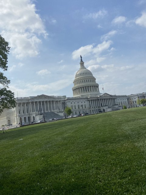 0508CB01-B6D8-4A80-874A-5E56DE79E2EC.jpeg