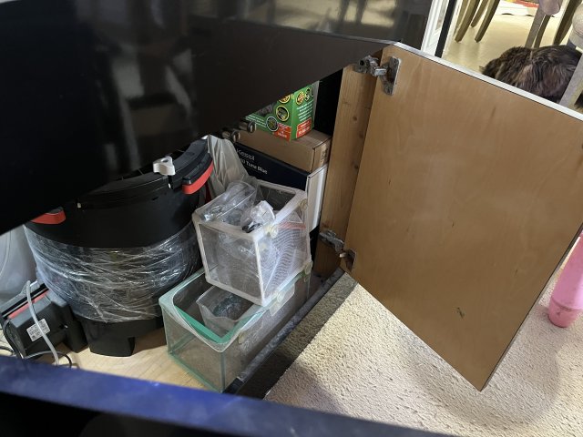 CA68AF51-A6EA-4EA4-BB20-1650A44C3084.jpeg