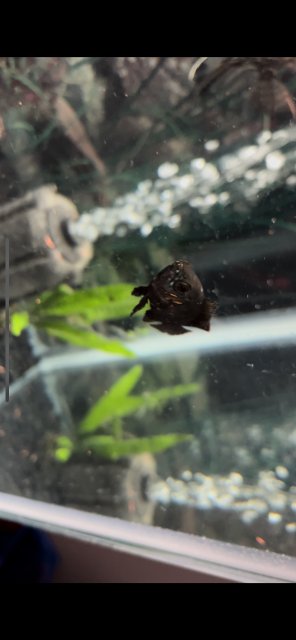 0C4B5C25-289F-4019-BCEC-CE1421B59B69.jpeg 0C4B5C25-289F-4019-BCEC-CE1421B59B69.jpeg