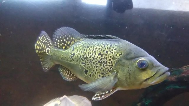 IMG_20191028_164608.jpg