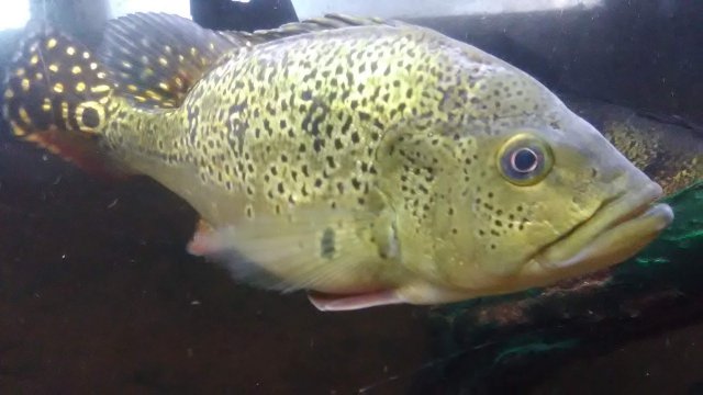 IMG_20191028_164438.jpg