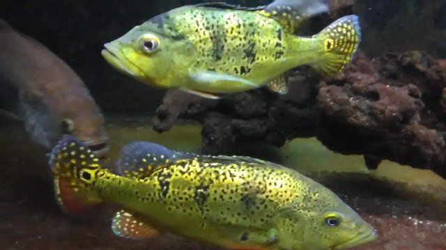 IMG_20190814_193604.jpg