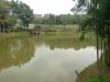 DSC00324.JPG