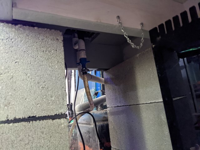 PXL_20220513_231737283.jpg