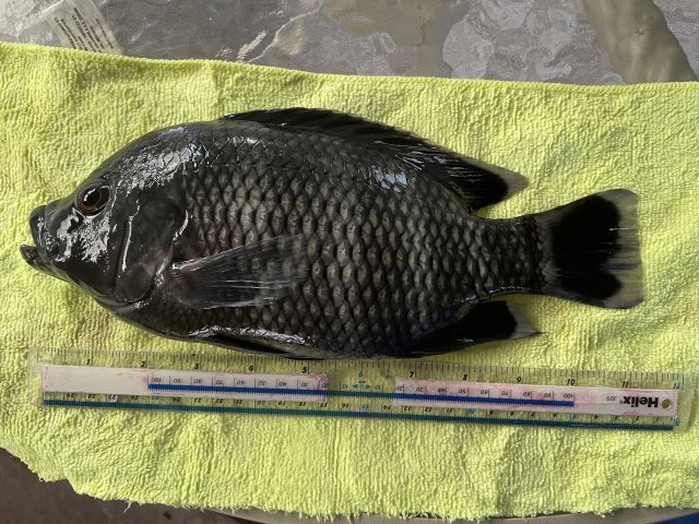 308DCC7C-CF4E-45EF-8B7F-1B36C9DB1AD1.jpeg 308DCC7C-CF4E-45EF-8B7F-1B36C9DB1AD1.jpeg