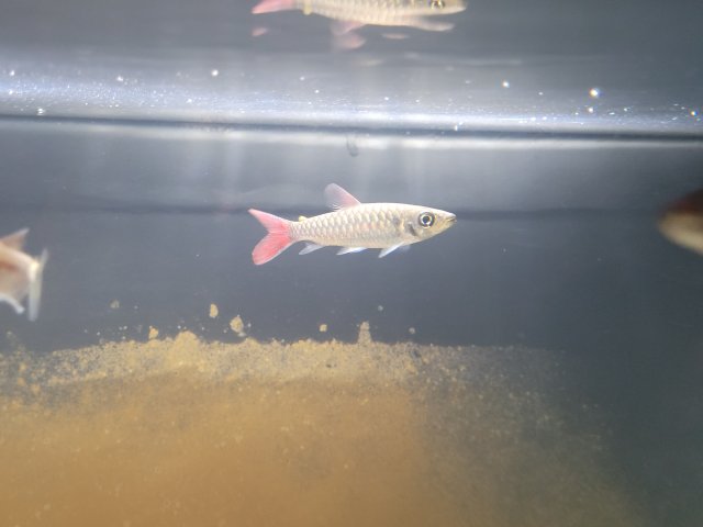 20220514_174028.jpg 20220514_174028.jpg