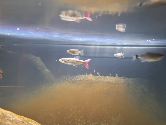 20220514_174006.jpg 20220514_174006.jpg