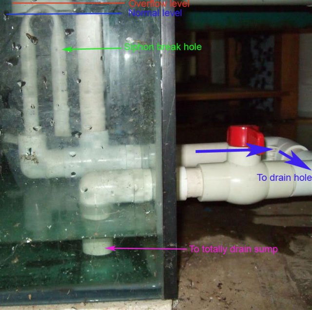1991140163_Autodrainsump.JPG