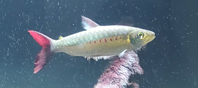 20210321_194702.jpg 20210321_194702.jpg