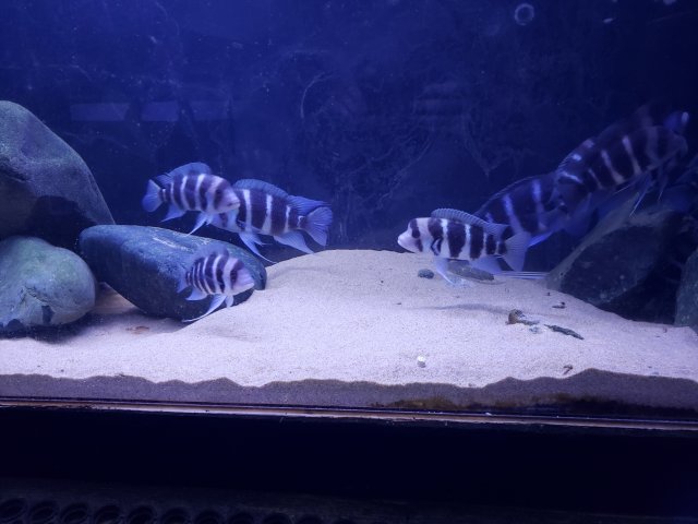 20220513_160213.jpg 20220513_160213.jpg