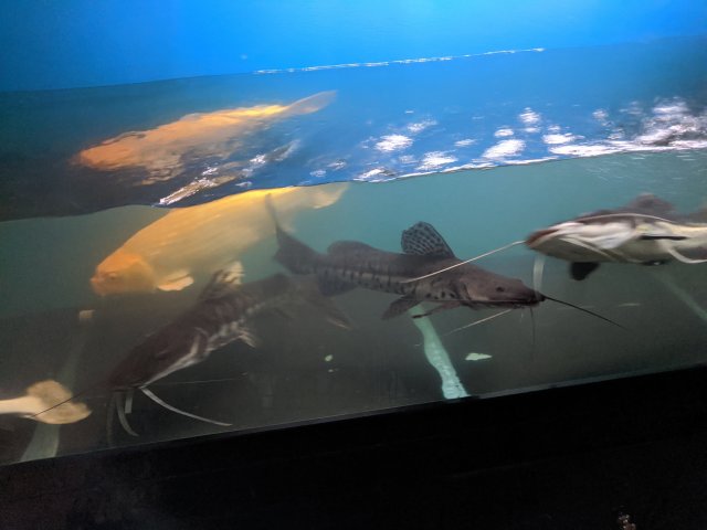 IMG_20220519_185403.jpg