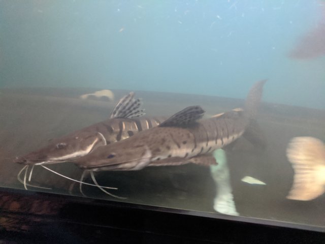 IMG_20220519_184846.jpg