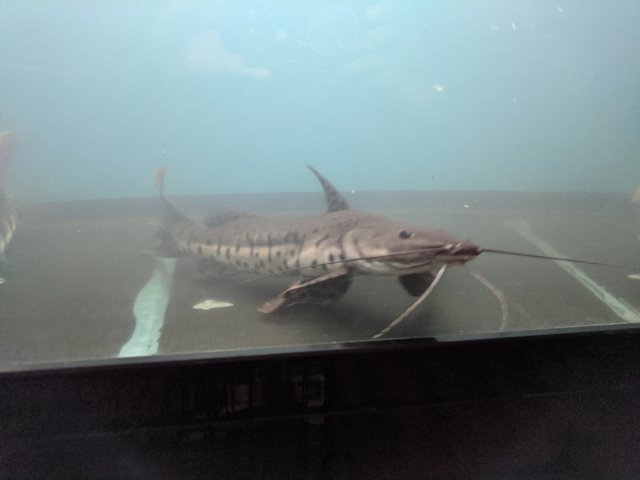 IMG_20220519_184635.jpg