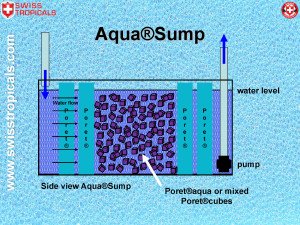 AquaRsump-300x225.jpg