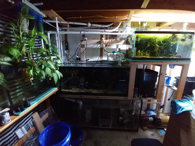 20190525_215712.jpg