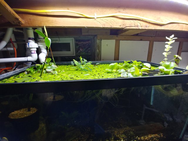 20190525_215634_HDR.jpg