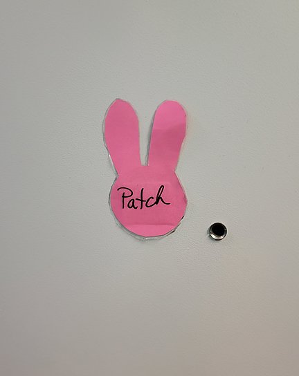 Patch door.jpg