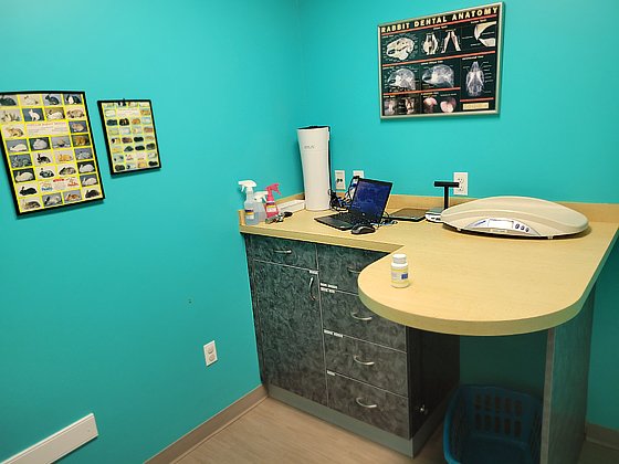 entry exam room.jpg