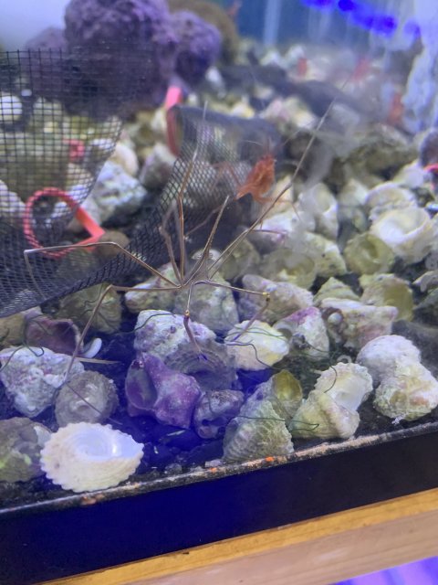 CDAEF50A-7C0D-4D4B-A0C0-9C32C3543004.jpeg CDAEF50A-7C0D-4D4B-A0C0-9C32C3543004.jpeg