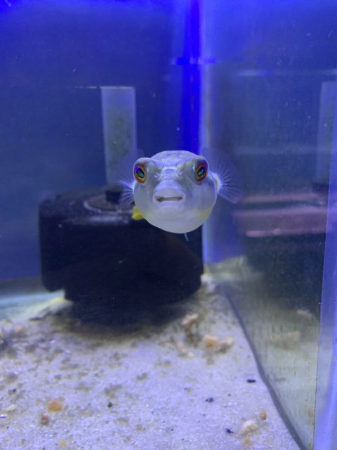 F4815555-EF27-4C8A-8B19-26EA4EA5F9F6.jpeg F4815555-EF27-4C8A-8B19-26EA4EA5F9F6.jpeg